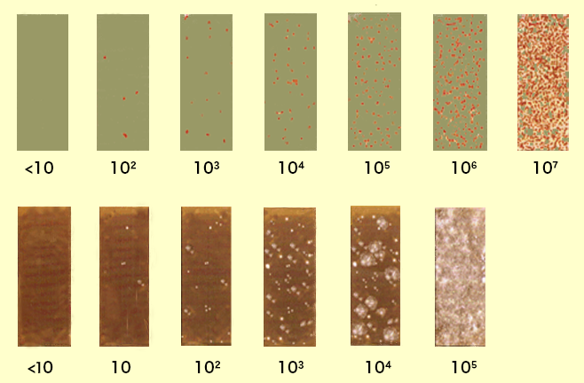 munzingFoamTest